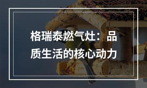格瑞泰燃气灶：品质生活的核心动力