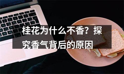 桂花为什么不香？探究香气背后的原因