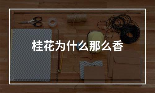 桂花为什么那么香