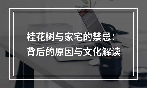桂花树与家宅的禁忌：背后的原因与文化解读