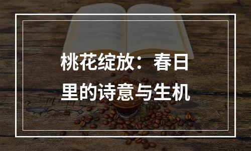 桃花绽放：春日里的诗意与生机