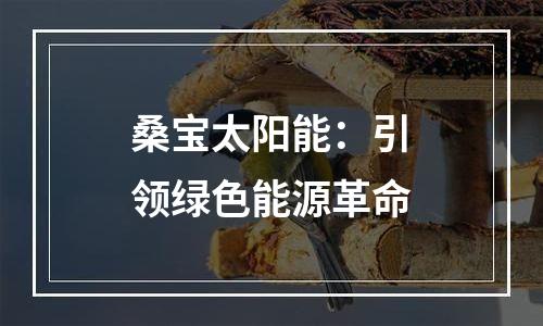 桑宝太阳能：引领绿色能源革命