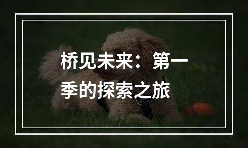 桥见未来：第一季的探索之旅
