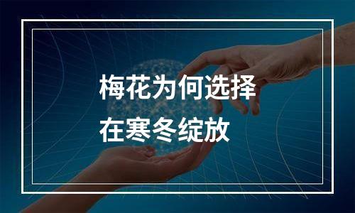 梅花为何选择在寒冬绽放