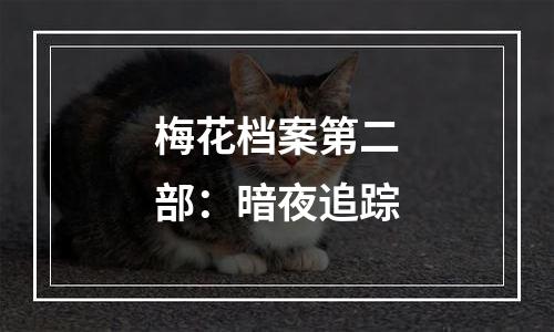 梅花档案第二部：暗夜追踪