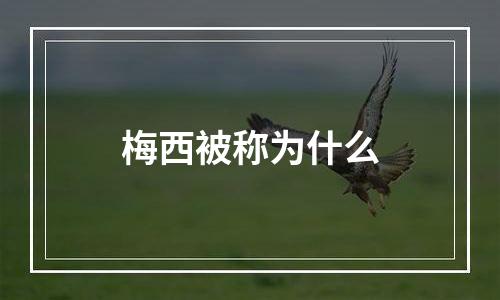 梅西被称为什么