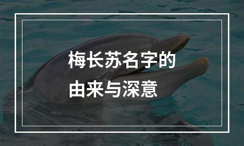 梅长苏名字的由来与深意