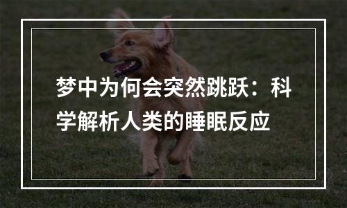 梦中为何会突然跳跃：科学解析人类的睡眠反应