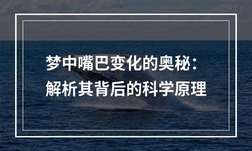 梦中嘴巴变化的奥秘：解析其背后的科学原理