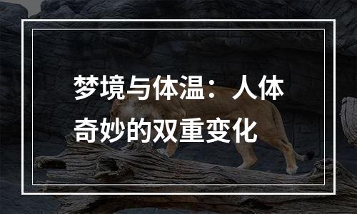 梦境与体温：人体奇妙的双重变化
