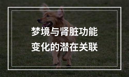 梦境与肾脏功能变化的潜在关联