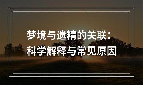 梦境与遗精的关联：科学解释与常见原因