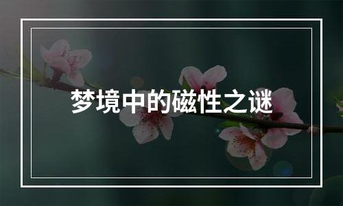 梦境中的磁性之谜