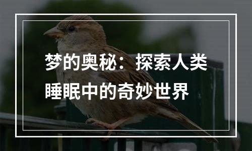 梦的奥秘：探索人类睡眠中的奇妙世界