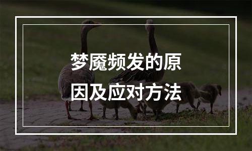 梦魇频发的原因及应对方法