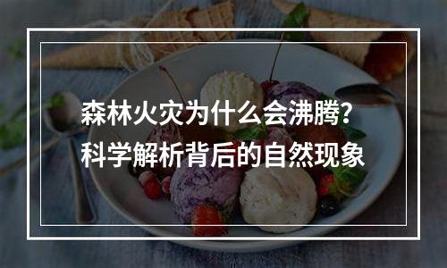 森林火灾为什么会沸腾？科学解析背后的自然现象