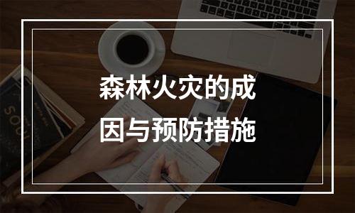 森林火灾的成因与预防措施
