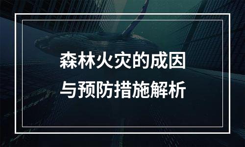 森林火灾的成因与预防措施解析