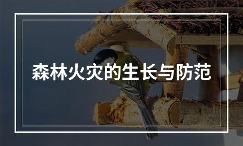 森林火灾的生长与防范