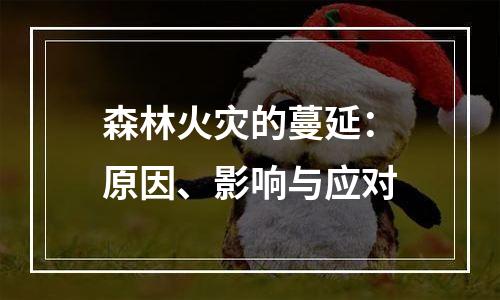 森林火灾的蔓延：原因、影响与应对