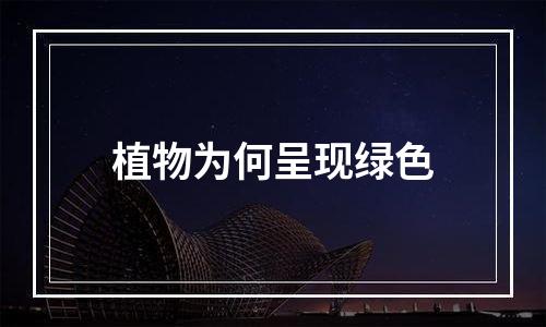 植物为何呈现绿色