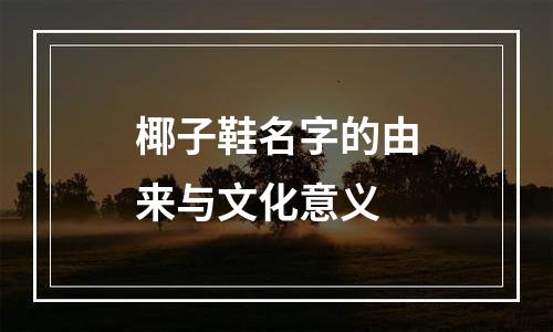 椰子鞋名字的由来与文化意义