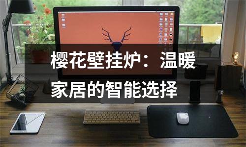 樱花壁挂炉：温暖家居的智能选择