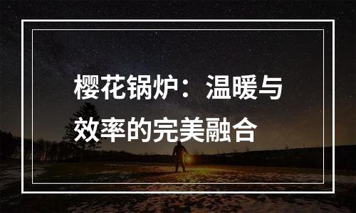 樱花锅炉：温暖与效率的完美融合