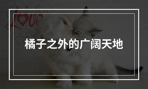 橘子之外的广阔天地