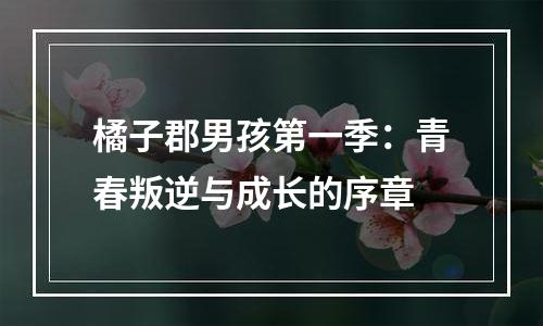 橘子郡男孩第一季：青春叛逆与成长的序章