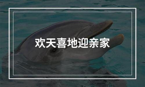 欢天喜地迎亲家