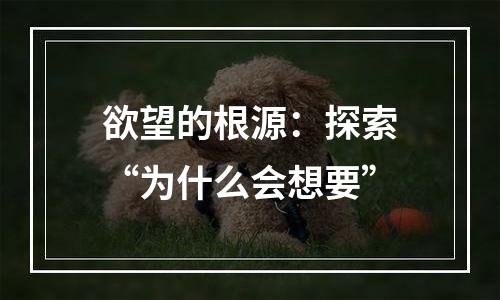 欲望的根源：探索“为什么会想要”