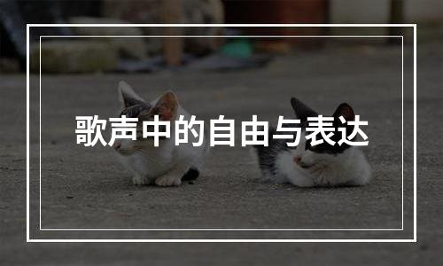 歌声中的自由与表达