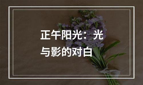 正午阳光：光与影的对白
