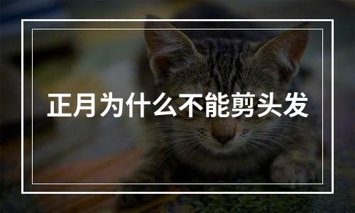 正月为什么不能剪头发