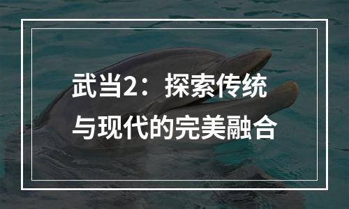 武当2：探索传统与现代的完美融合