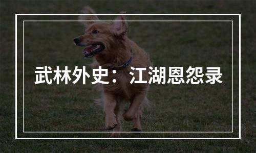 武林外史：江湖恩怨录