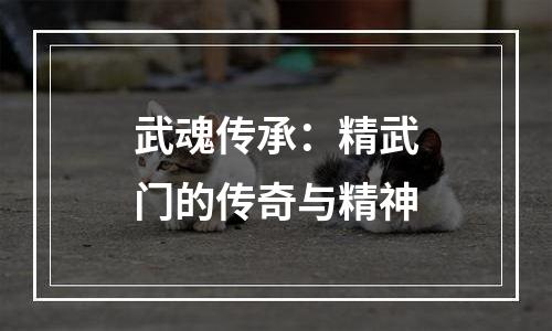 武魂传承：精武门的传奇与精神