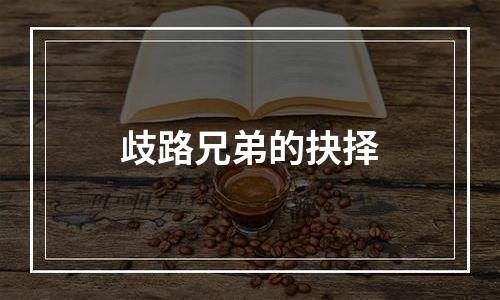 歧路兄弟的抉择