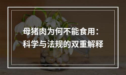 母猪肉为何不能食用：科学与法规的双重解释