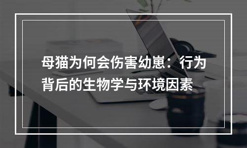 母猫为何会伤害幼崽：行为背后的生物学与环境因素