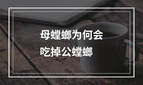母螳螂为何会吃掉公螳螂