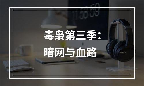 毒枭第三季：暗网与血路