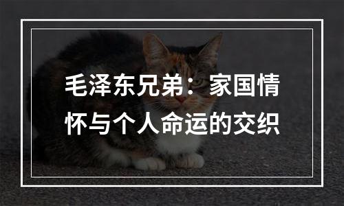 毛泽东兄弟：家国情怀与个人命运的交织