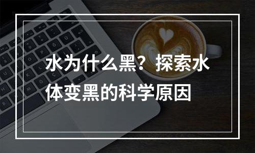 水为什么黑？探索水体变黑的科学原因