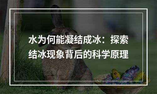 水为何能凝结成冰：探索结冰现象背后的科学原理