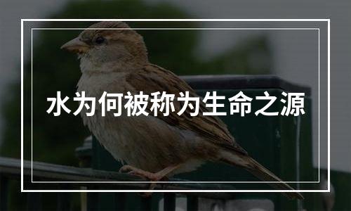 水为何被称为生命之源