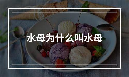 水母为什么叫水母