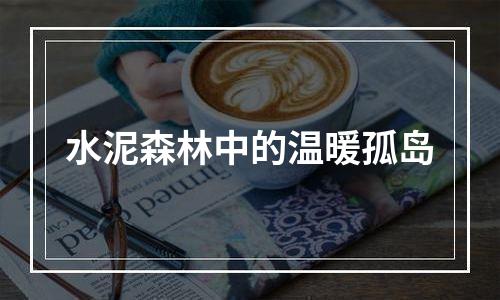 水泥森林中的温暖孤岛