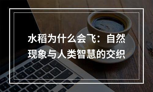 水稻为什么会飞：自然现象与人类智慧的交织